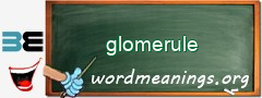 WordMeaning blackboard for glomerule